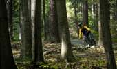 Trail Mountain bike Somme-Leuze - PARCOURS VTT DE SOMME-LEUZE N° 4 - Photo 1