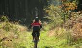 Trail Mountain bike Vielsalm - VTT 2 - Photo 1