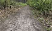 Trail Mountain bike Namur - Zone 1 - circuit 2 - Photo 5
