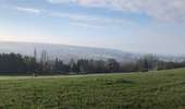 Trail Mountain bike Namur - Zone 1 - circuit 2 - Photo 2
