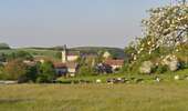 Trail Mountain bike Onhaye - Plateau de Biert - Photo 1
