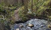 Trail On foot Bièvre - La Roche Mouselle - Photo 2