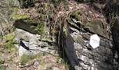 Trail On foot Herbeumont - La Pierre Perin et les Ruines du Château - Photo 2