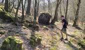 Trail On foot Paliseul - Our : Grand Rôly - Photo 2
