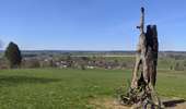 Trail Mountain bike Gouvy - Gouvy-Rettigny-Sterpigny-Gouvy - Photo 1
