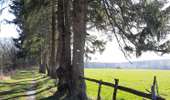 Trail On foot Bastogne - Le gros bois - Photo 1