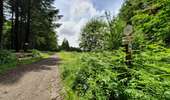 Trail Mountain bike Paliseul - Carlsbourg : circuit VTT bleu - Photo 6