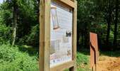 Trail Mountain bike Paliseul - Carlsbourg : circuit VTT bleu - Photo 5