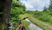 Trail Mountain bike Paliseul - Carlsbourg : circuit VTT bleu - Photo 2