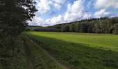 Trail On foot Gedinne - Les Mestures 03 - Photo 3