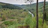 Trail On foot Bouillon - Promenade gros chêne français et chêne des Mouches 21 - Photo 4
