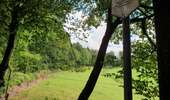 Trail On foot Bouillon - Promenade gros chêne français et chêne des Mouches 21 - Photo 2