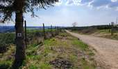 Tocht Te voet Bouillon - Promenade du Château-le-Duc - Photo 3