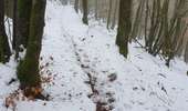 Randonnée A pied Herbeumont - Le Faîté - Photo 2