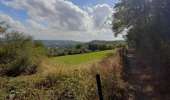 Trail On foot Anhée - Panorama du Nord Fays - Photo 5