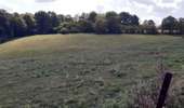 Trail On foot Anhée - Panorama du Nord Fays - Photo 4