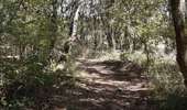 Trail On foot Anhée - Panorama du Nord Fays - Photo 3