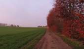 Trail On foot Anhée - Panorama de la Cour - Photo 3