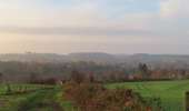 Trail On foot Anhée - Panorama de la Cour - Photo 2
