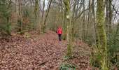 Trail On foot Vresse-sur-Semois - Les huit Semois - Photo 3