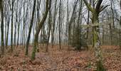 Trail On foot Vresse-sur-Semois - Les huit Semois - Photo 2