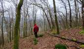 Trail On foot Vresse-sur-Semois - Les huit Semois - Photo 1