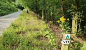 Trail Mountain bike Vresse-sur-Semois - Circuit des hauts quartiers - Photo 5
