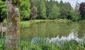 Trail Mountain bike Vresse-sur-Semois - Circuit des hauts quartiers - Photo 3