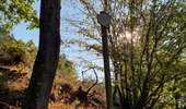 Trail On foot Vresse-sur-Semois - Pic de la girouette - Photo 5