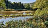 Trail On foot Vresse-sur-Semois - Pic de la girouette - Photo 2