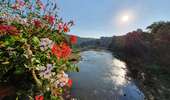 Trail On foot Vresse-sur-Semois - Pic de la girouette - Photo 1