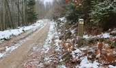 Trail On foot Vresse-sur-Semois - Jeune Bois - Photo 2