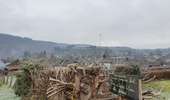Trail On foot Vresse-sur-Semois - Jeune Bois - Photo 3