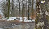 Trail On foot Vresse-sur-Semois - Jeune Bois - Photo 4