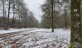 Trail On foot Vresse-sur-Semois - Jeune Bois - Photo 5