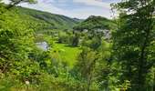 Trail On foot Bouillon - Panorama de Frahan à Rochehaut - Photo 4