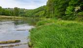 Trail On foot Bouillon - Panorama de Frahan à Rochehaut - Photo 3