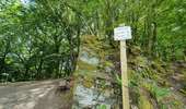 Randonnée A pied Bouillon - Promenade de Laviot - Photo 2
