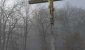 Trail On foot Vresse-sur-Semois - Le vera - Photo 5