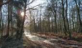 Trail On foot Vresse-sur-Semois - Le vera - Photo 4