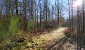 Trail On foot Vresse-sur-Semois - Le vera - Photo 2