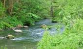Trail On foot Yvoir - Purnode- Vallée du Bocq - Purnode - Photo 1