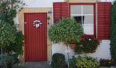 Trail On foot Musson - Willancourt, village in bloom” - Photo 4