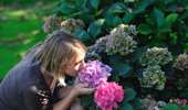 Trail On foot Musson - Willancourt, village in bloom” - Photo 3