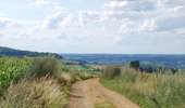 Trail On foot Virton - La Bajocienne - Photo 2