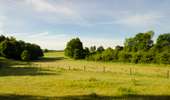 Trail On foot Saint-Léger - Promenade à Sint-Ldjir - Photo 1
