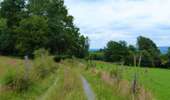 Trail Mountain bike Lierneux - Lierneux - Circuit VTT 12 - Photo 1