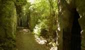 Trail On foot Ciney - Promenade du Tilleul de Conjoux - Photo 2