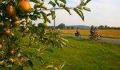 Trail Mountain bike Herve - Herve : Walk of the apple trees in the land of orchards (32,2 km) - Photo 1