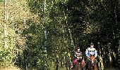 Tocht Paard Doornik - Ruiter- & menroute van Templeuve - Photo 4